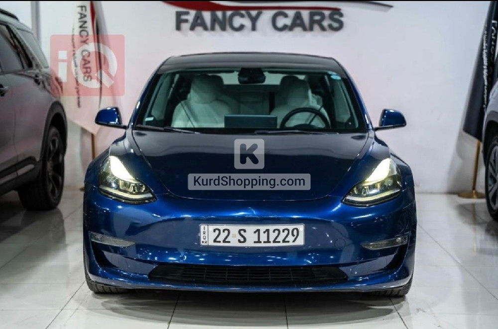 Tesla Model 3 2022