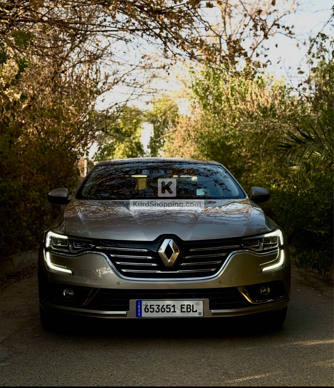 Renault Talisman 2018