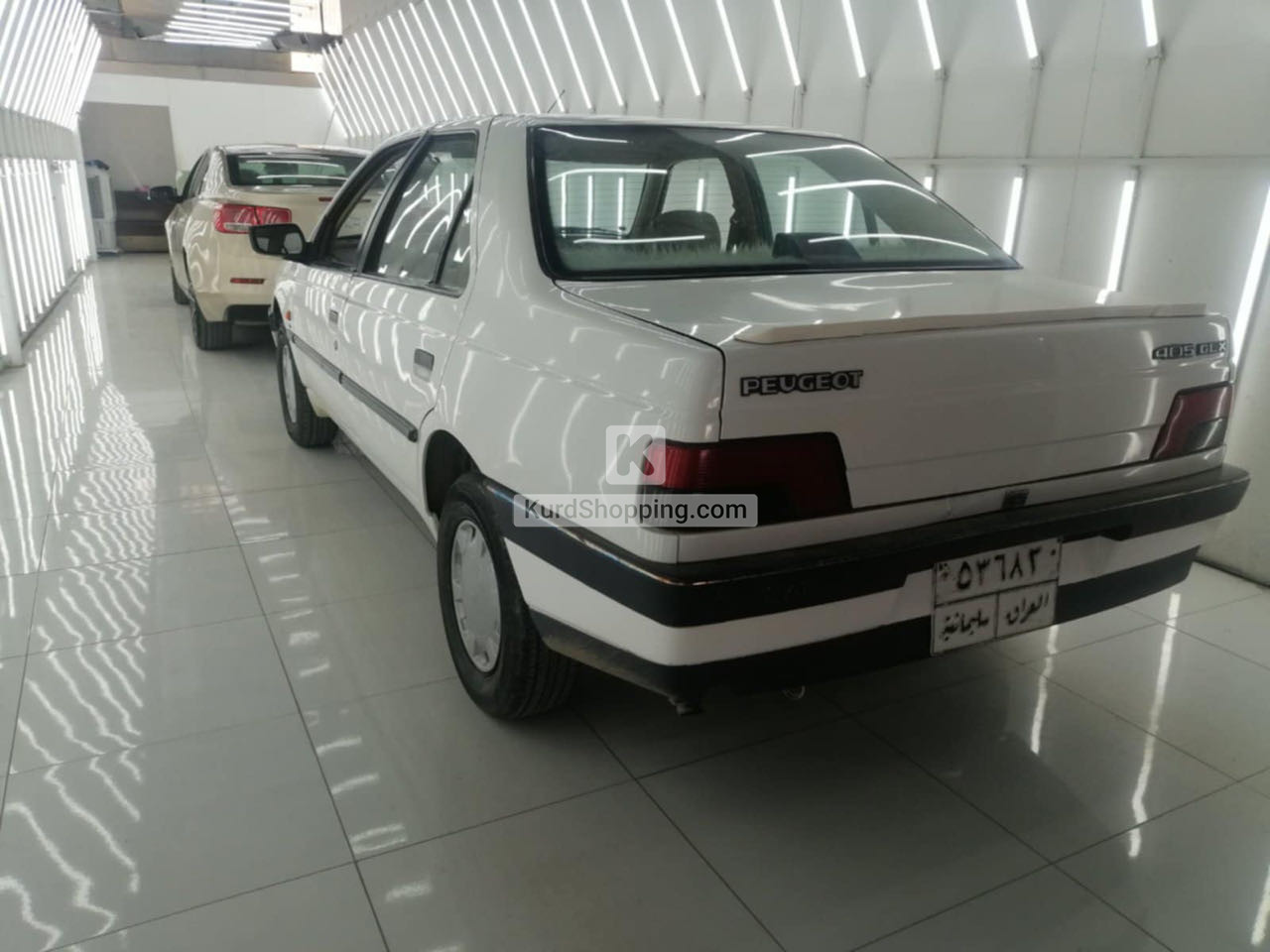 Peugeot 405 2009