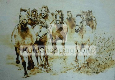 Horses