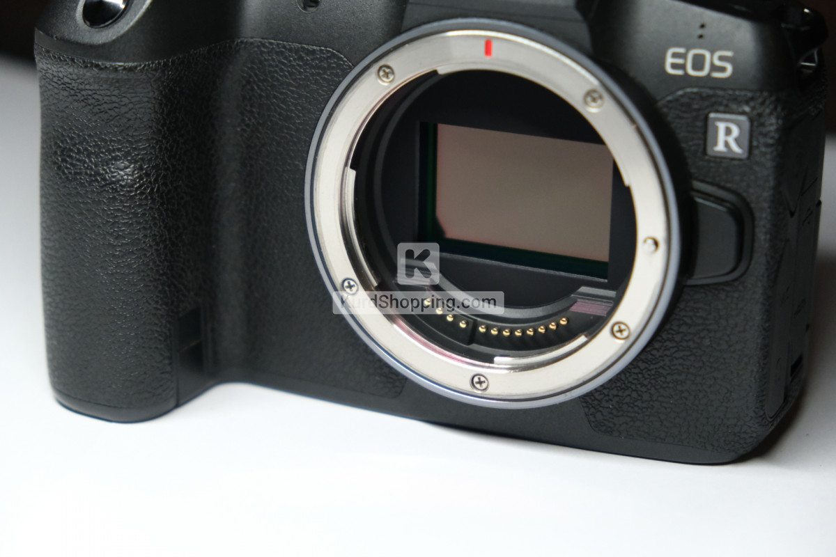 Canon EOS R