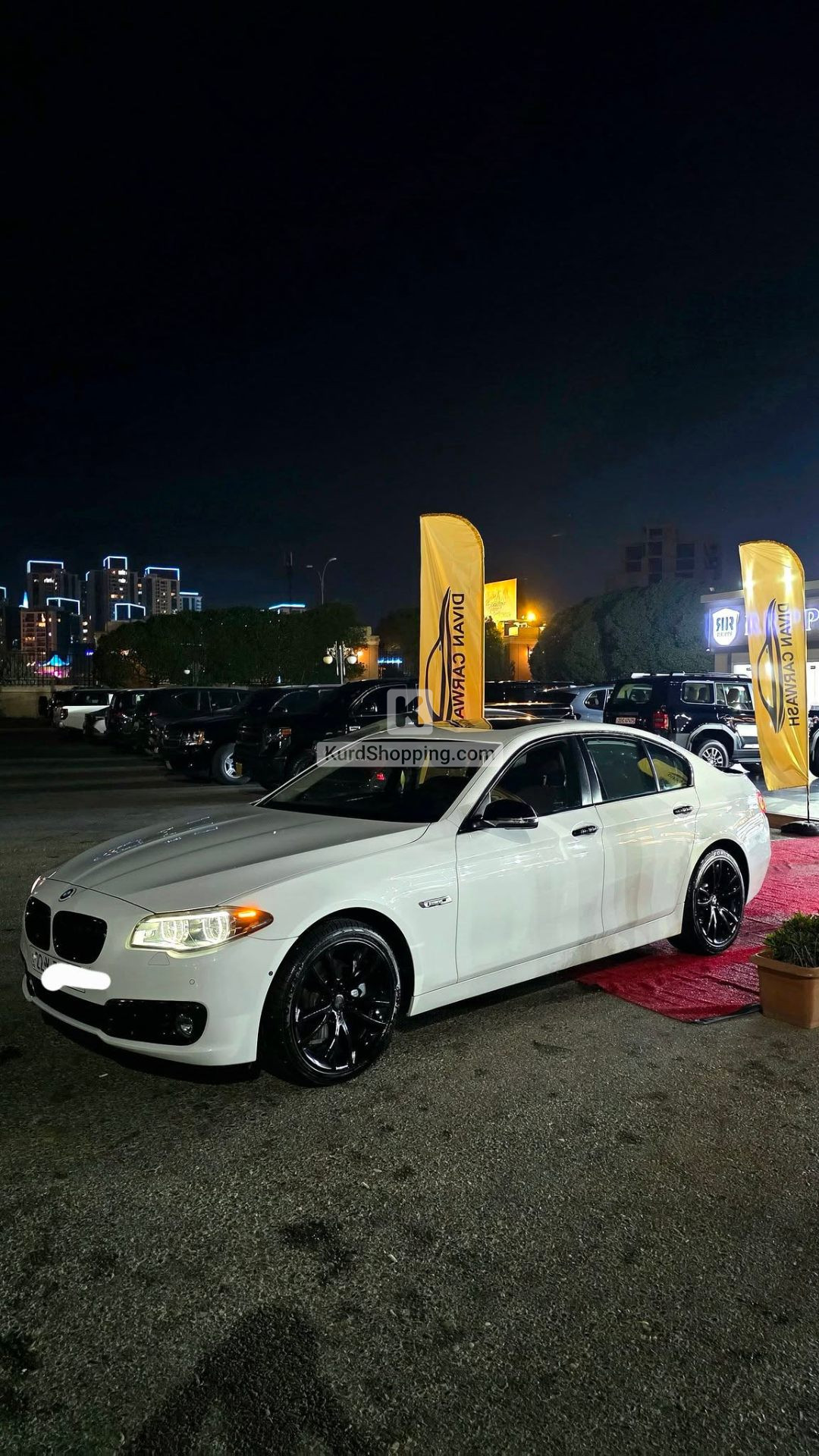 BMW 5 Series 2014