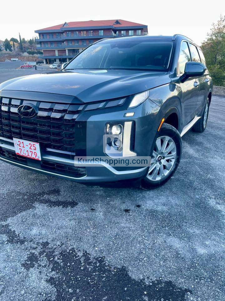Hyundai Palisade 2025