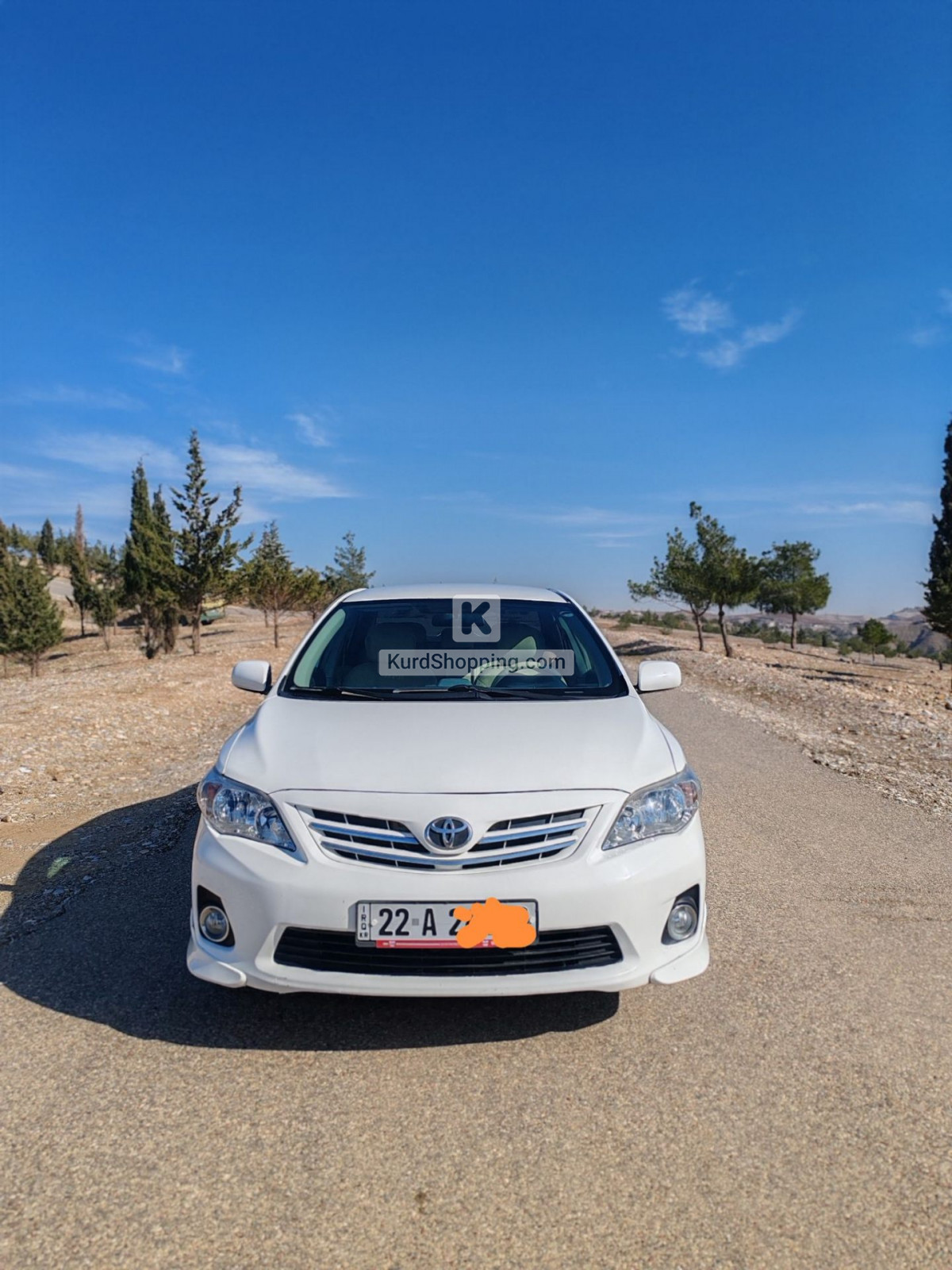Toyota Corolla 2013