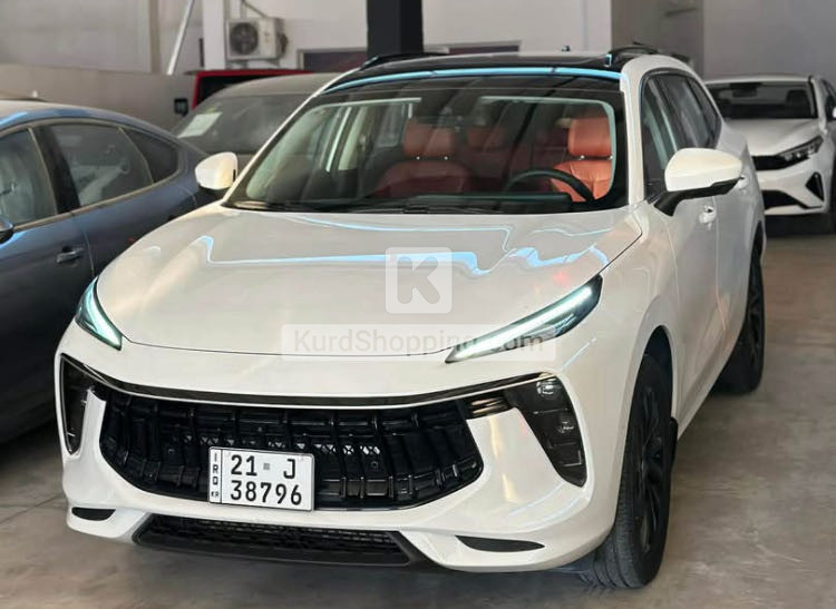 Dongfeng Forthing 2025