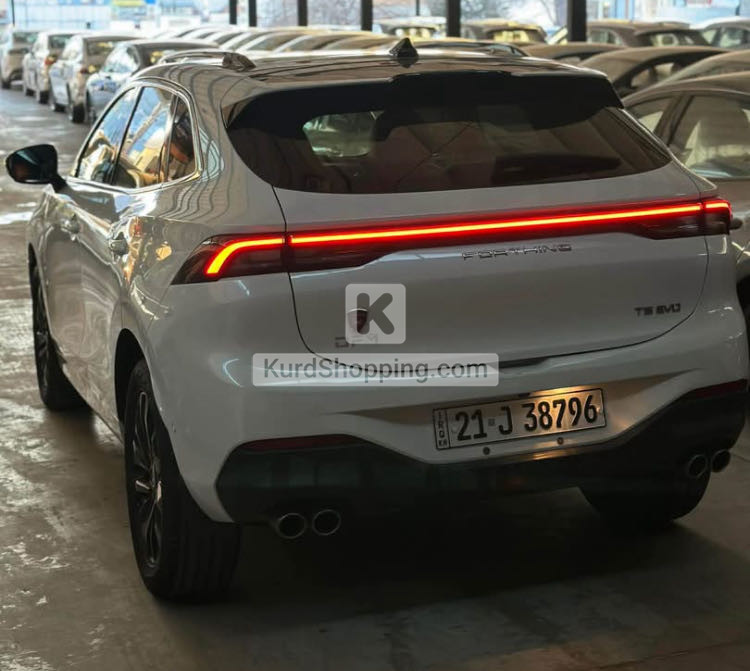 Dongfeng Forthing 2025