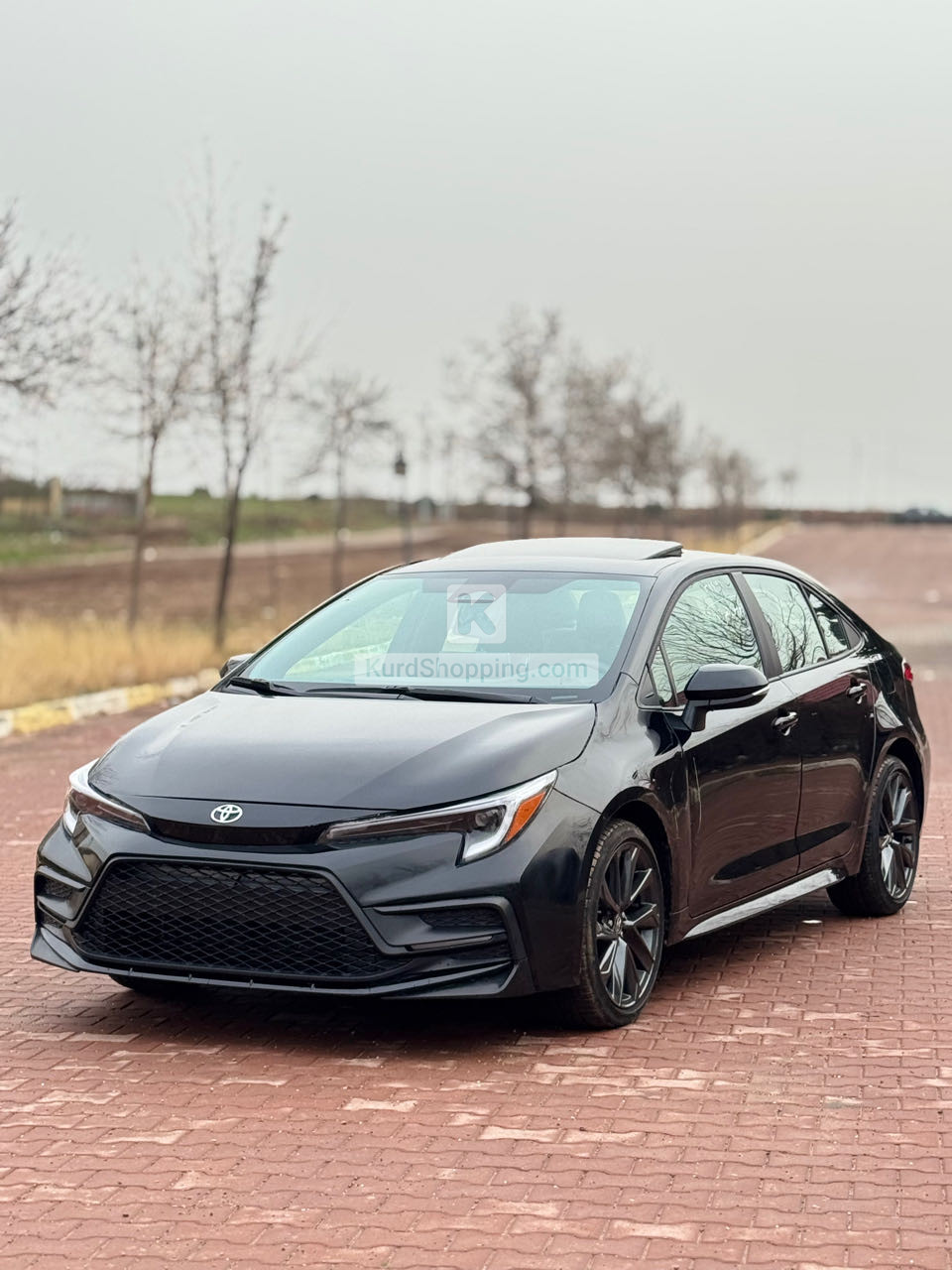 Toyota Corolla 2025