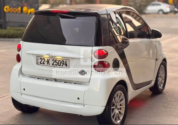 Smart Smart 2010
