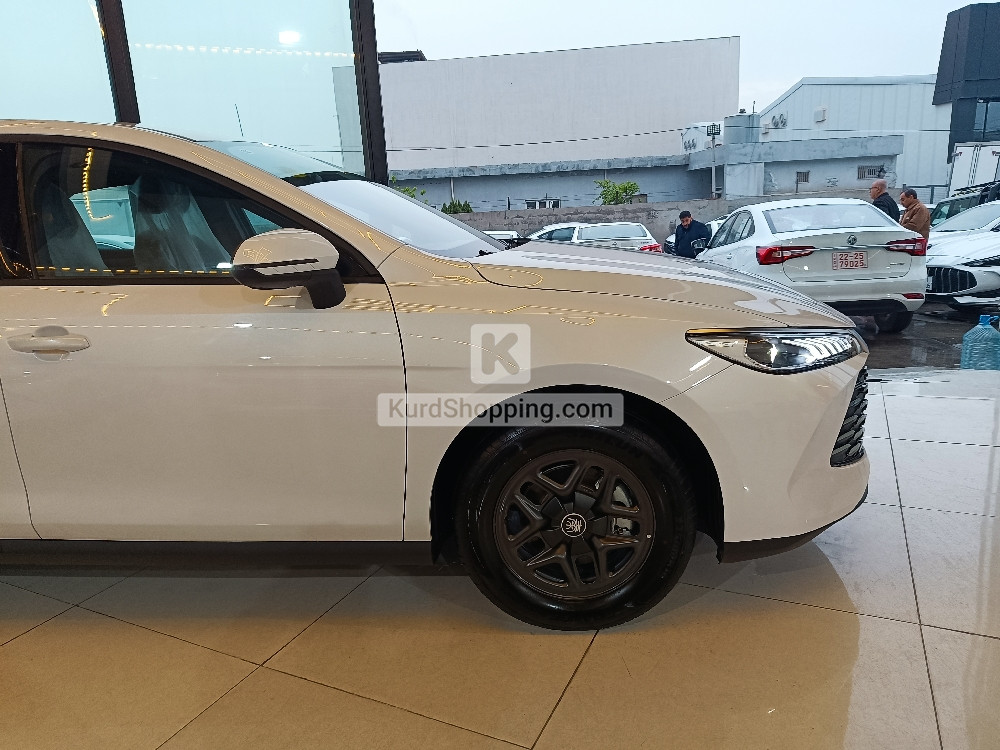 BYD QIN PLUS 2025