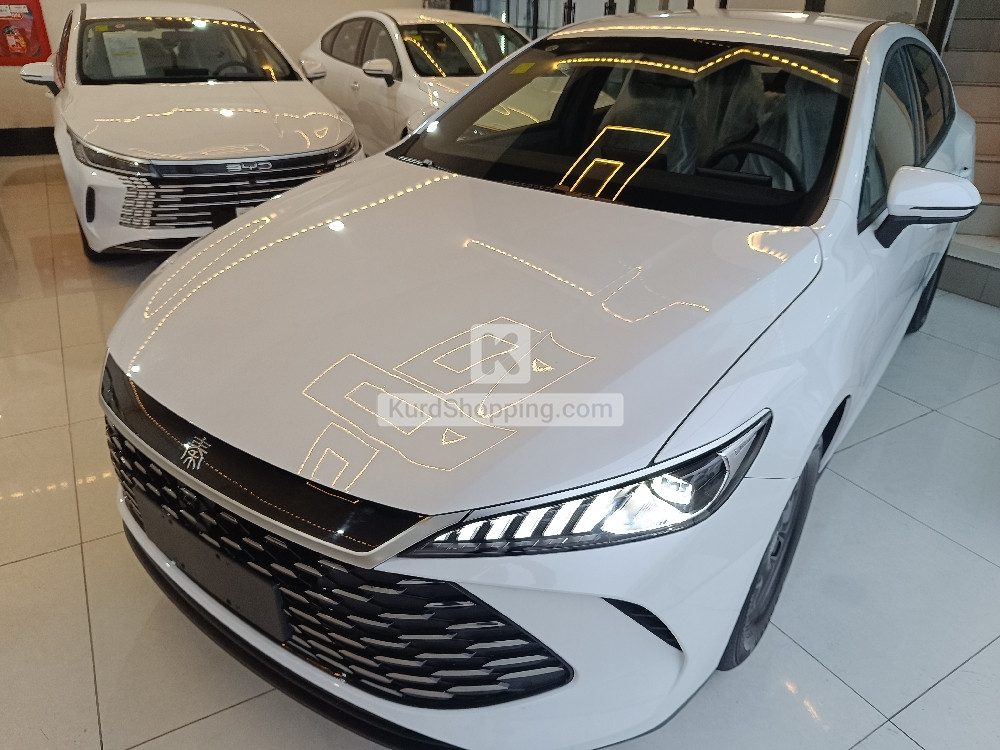 BYD QIN PLUS 2025