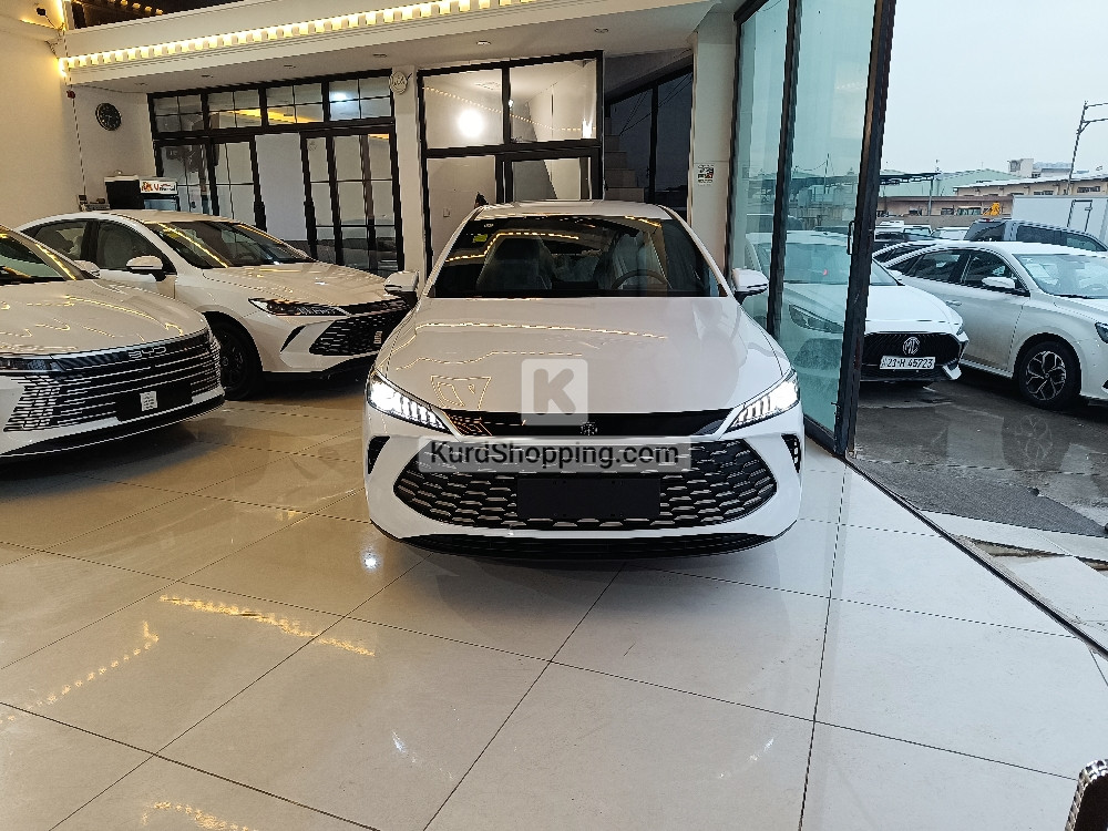 BYD QIN PLUS 2025