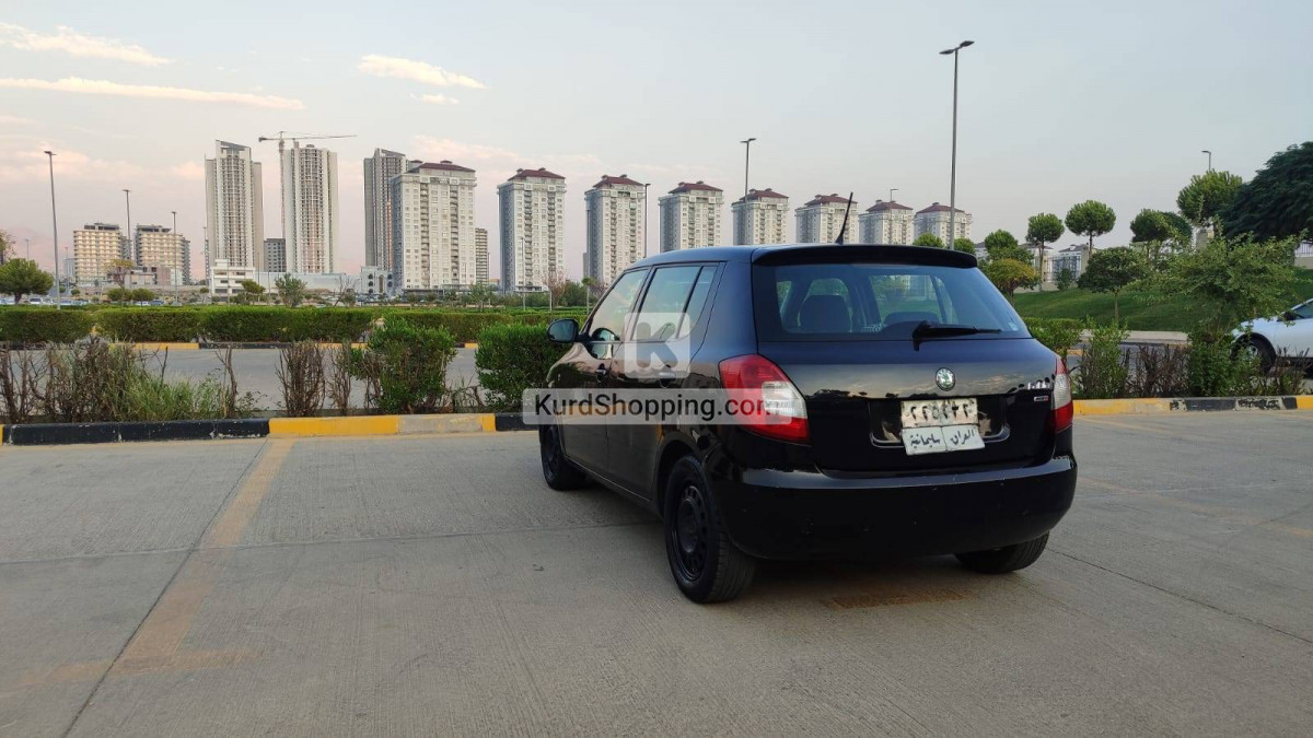 Skoda Fabia 2013