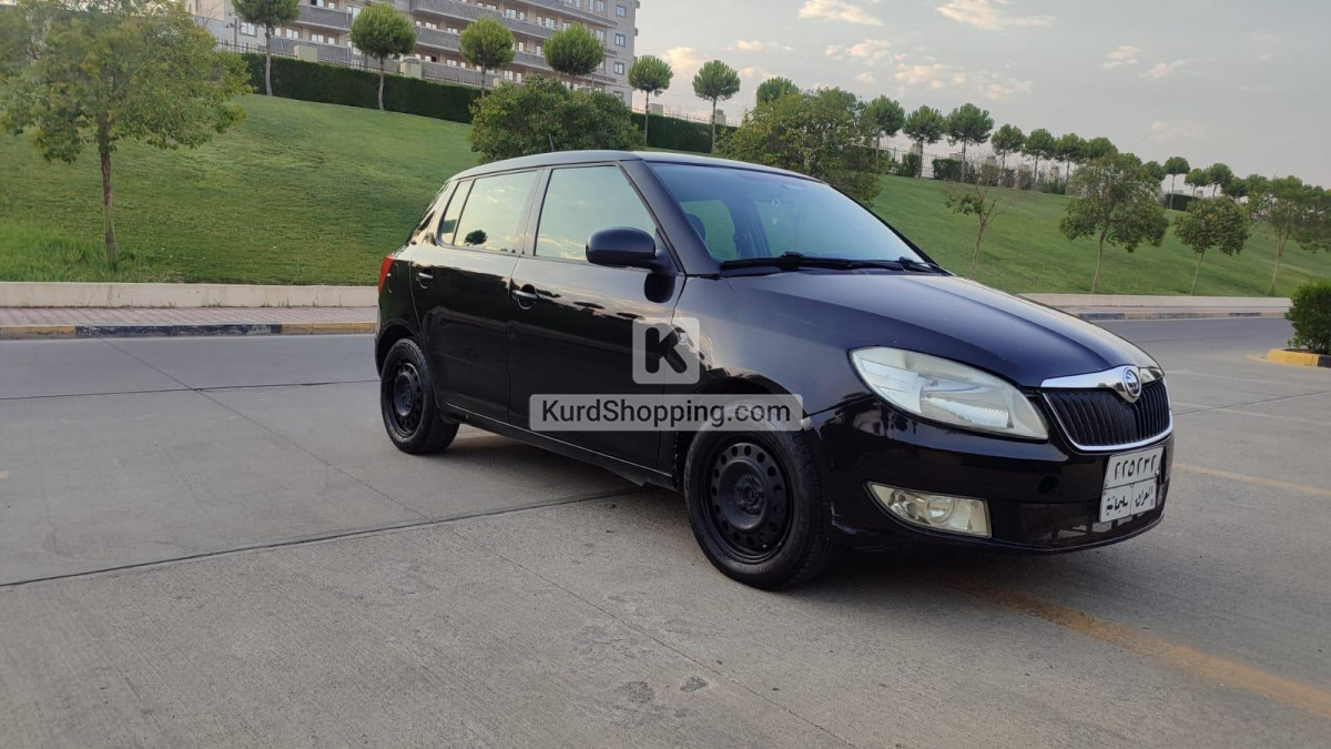 Skoda Fabia 2013