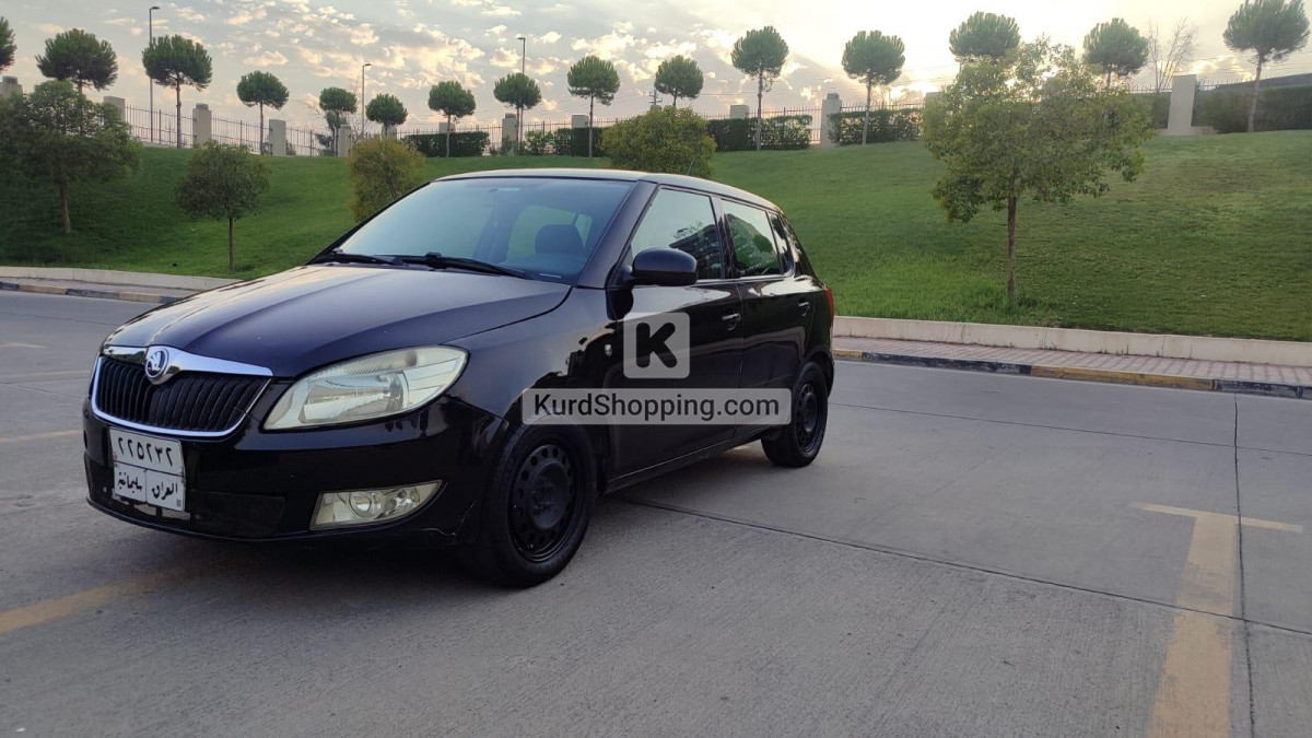 Skoda Fabia 2013