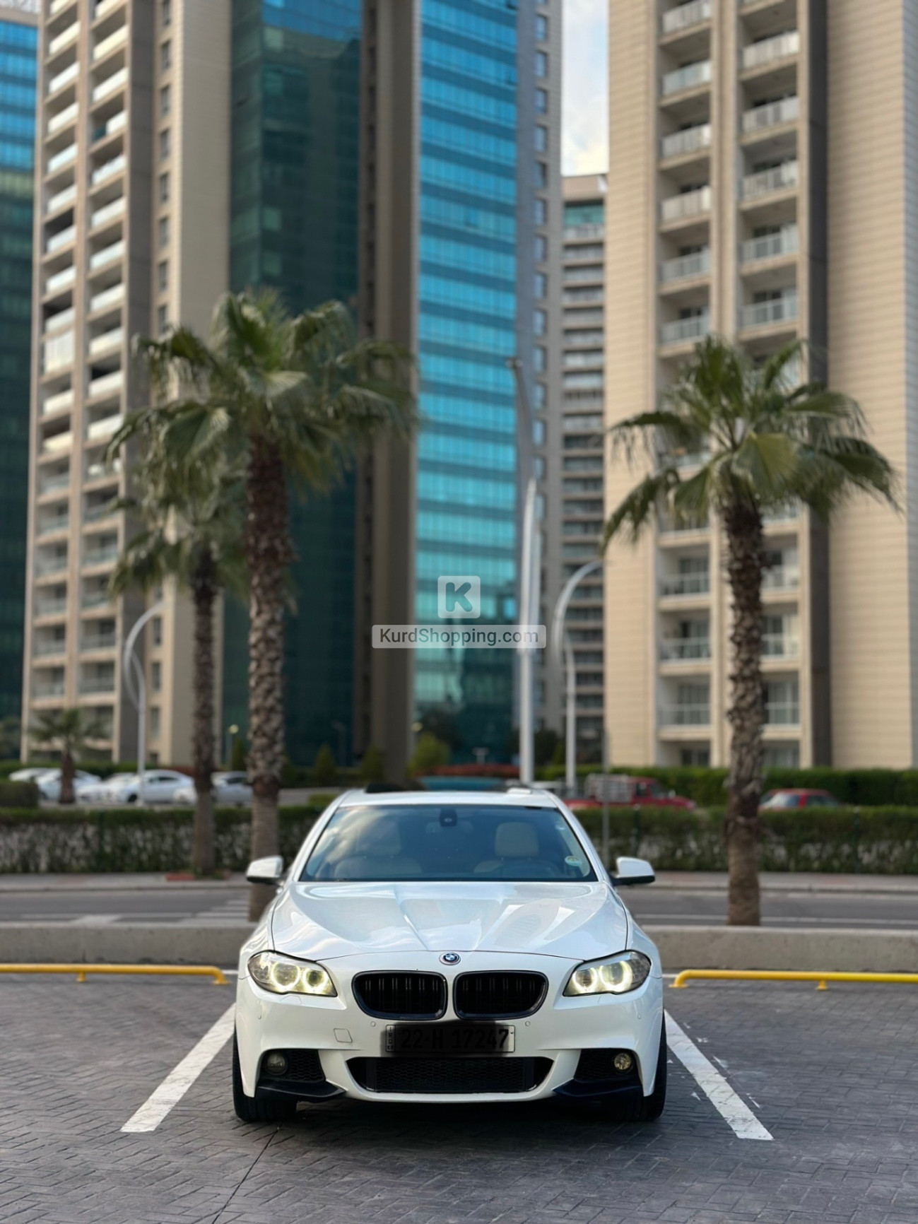 BMW 5 Series 2012