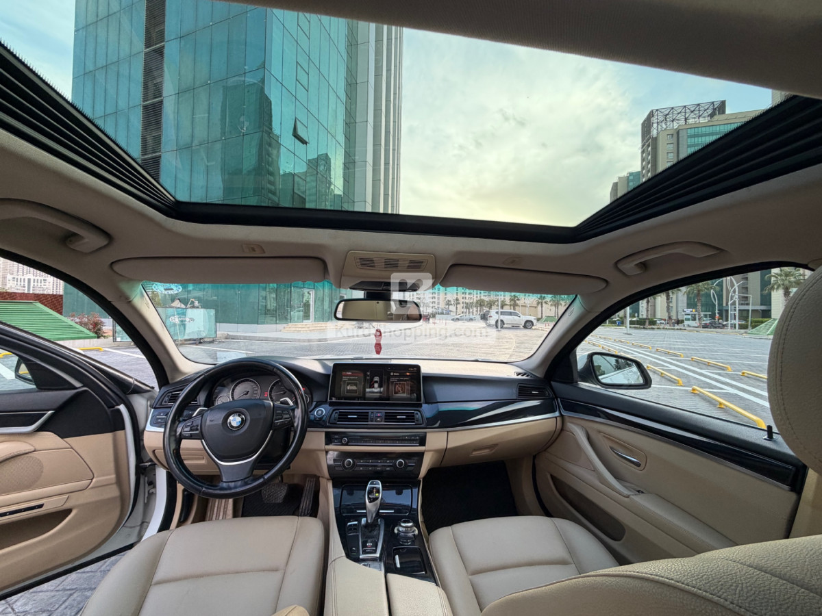 BMW 5 Series 2014