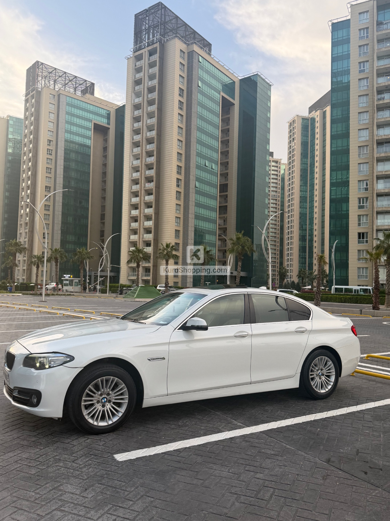BMW 5 Series 2014