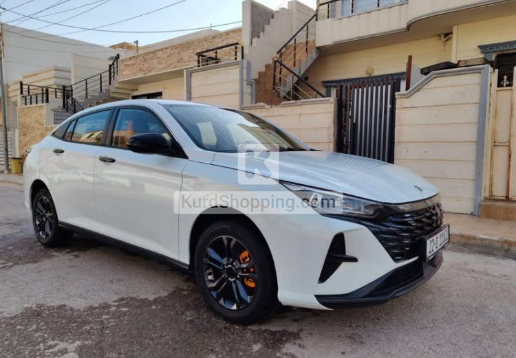 Dongfeng Shine 2025
