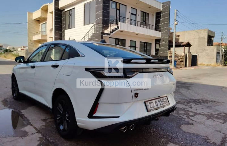 Dongfeng Shine 2025