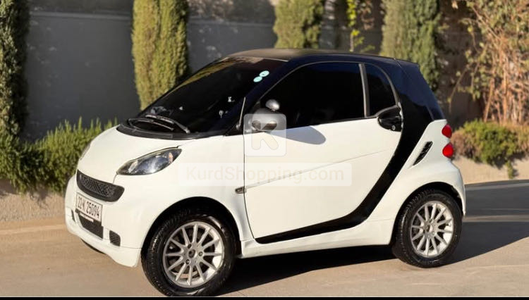 Smart Smart 2010