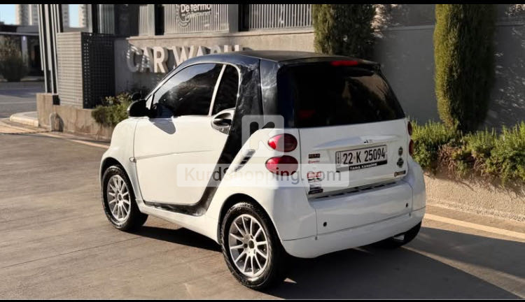 Smart Smart 2010