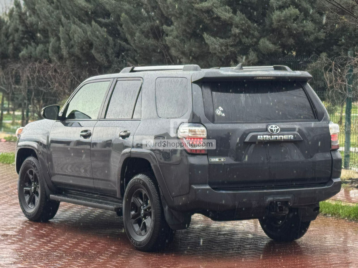 Toyota Rav4 2024