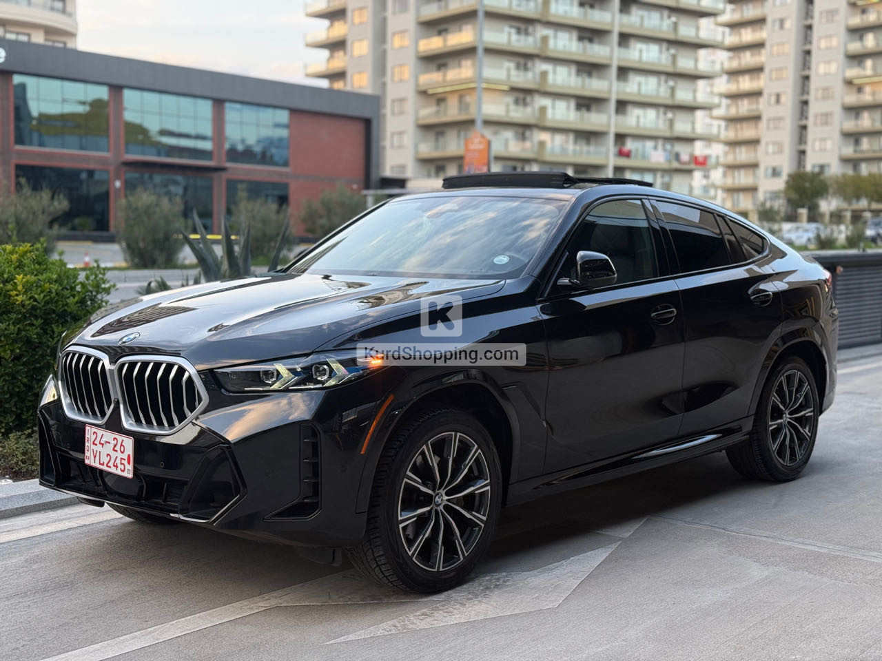 BMW X6 2024