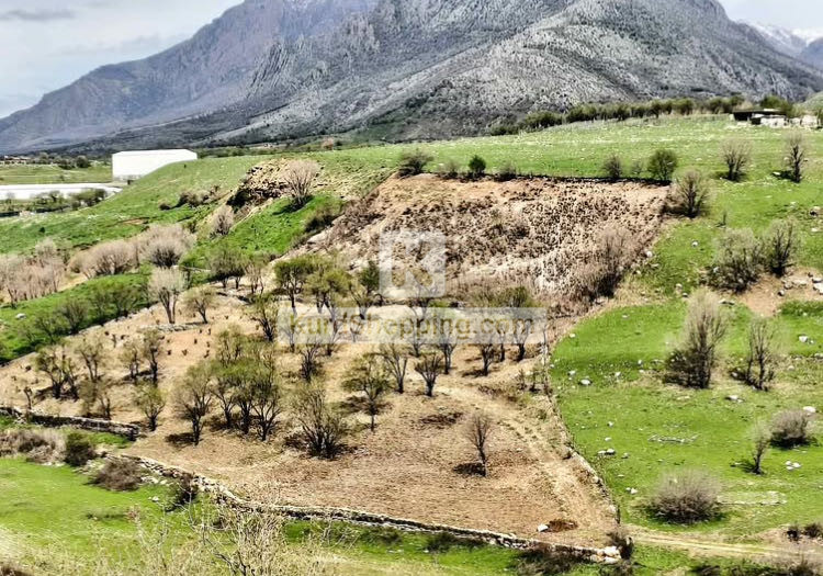 ٤ دۆنم موڵک لە شارباژێڕ