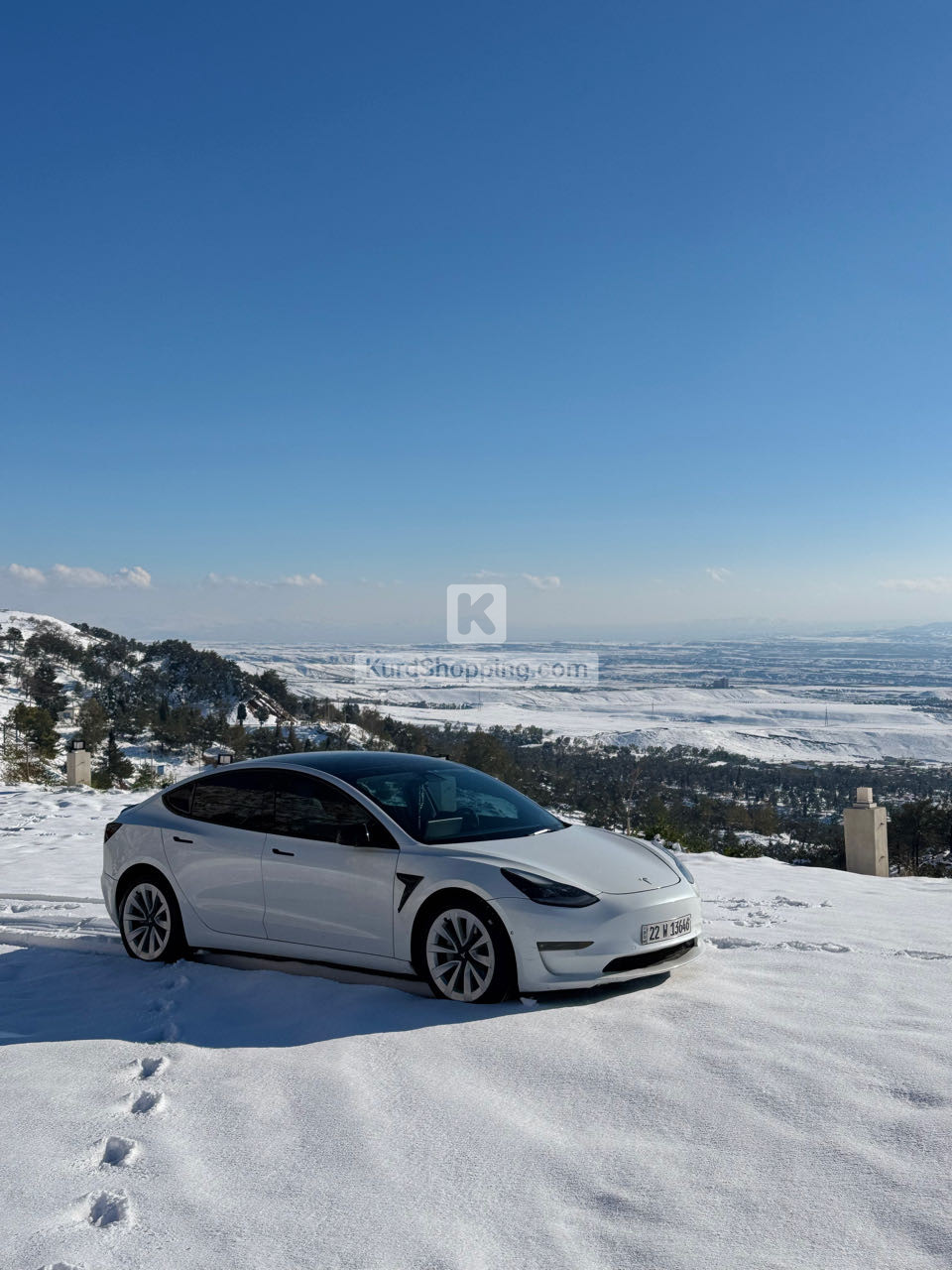 Tesla Model 3 2022
