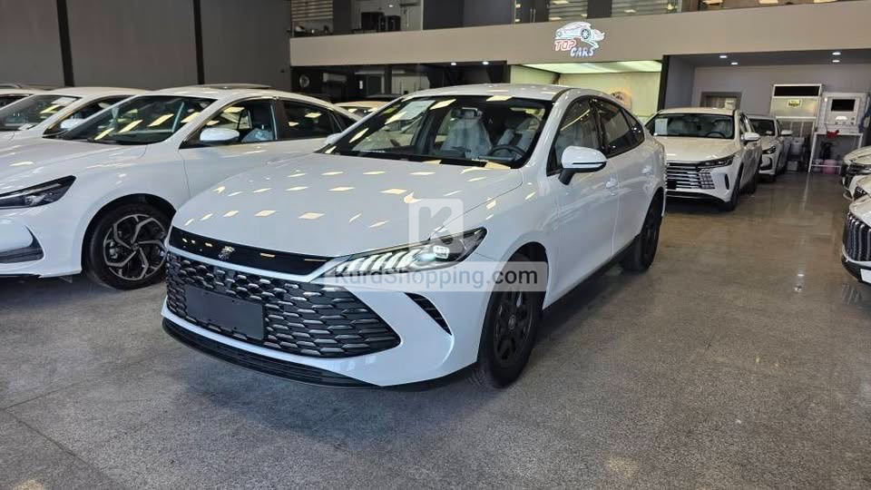 BYD QIN PLUS 2025
