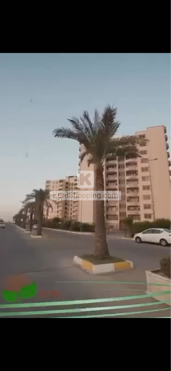 شوقه ي راخراو بو فروشتن