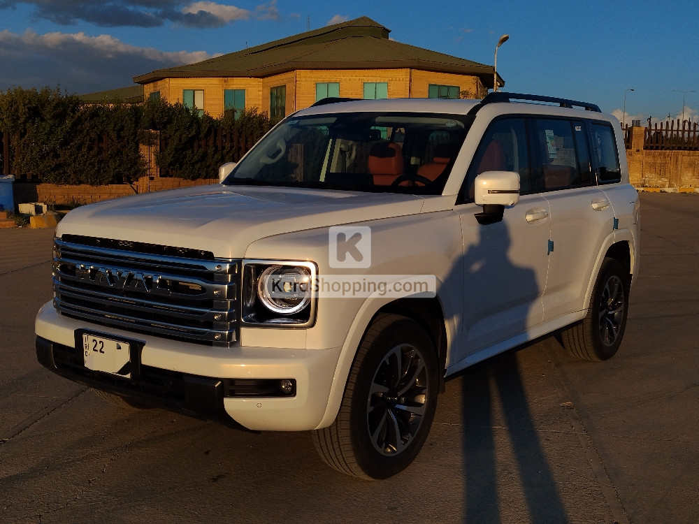 HAVAL H9 2025