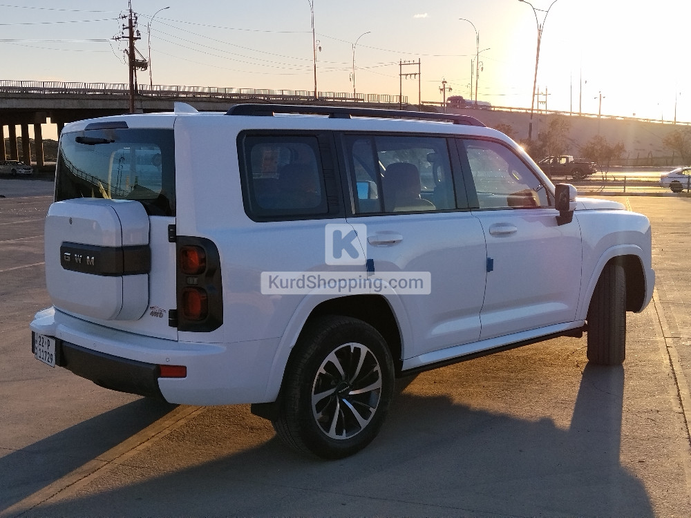 HAVAL H9 2025