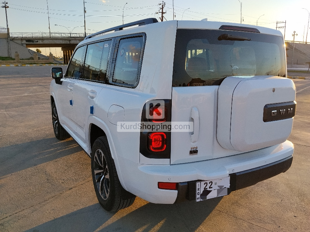 HAVAL H9 2025