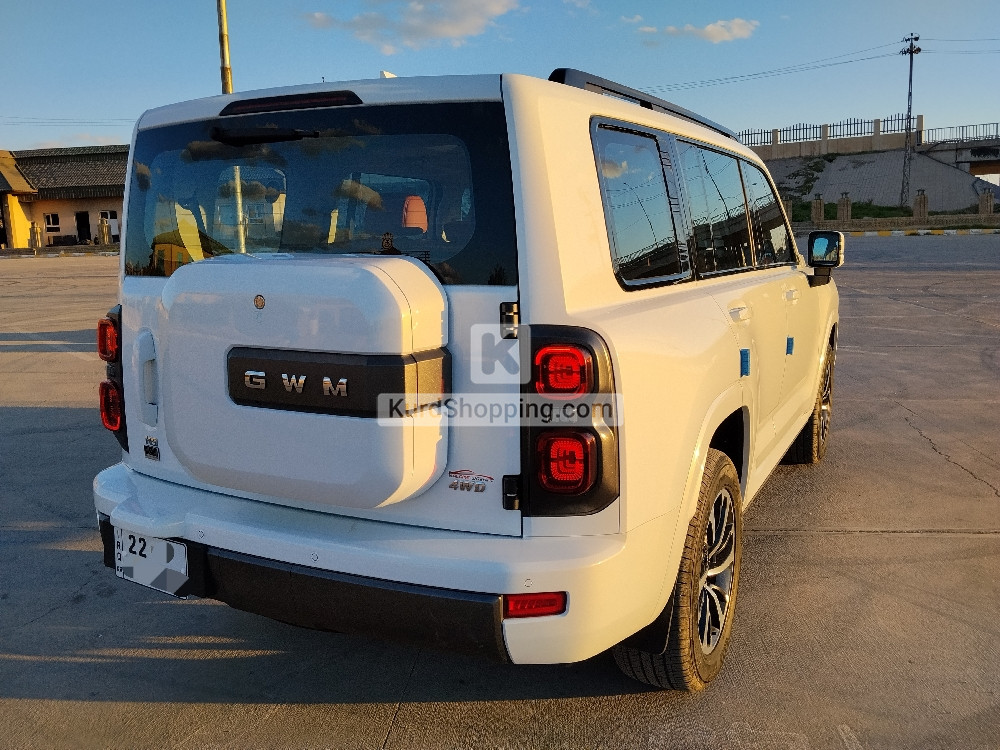 HAVAL H9 2025