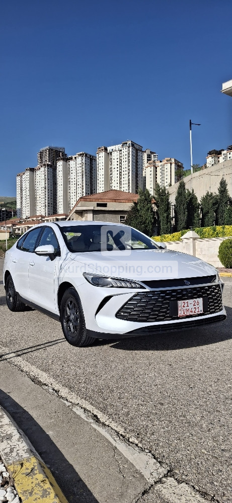 BYD QIN PLUS 2025
