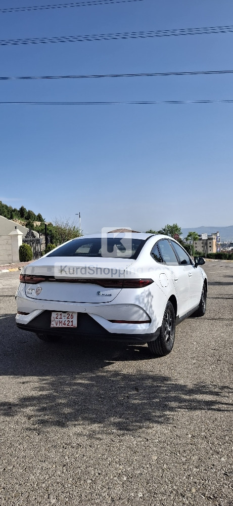 BYD QIN PLUS 2025