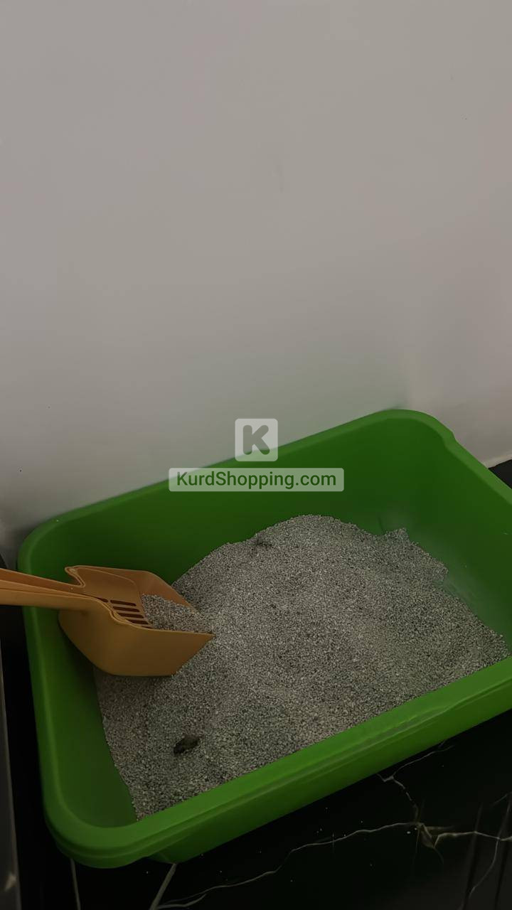 بشلە