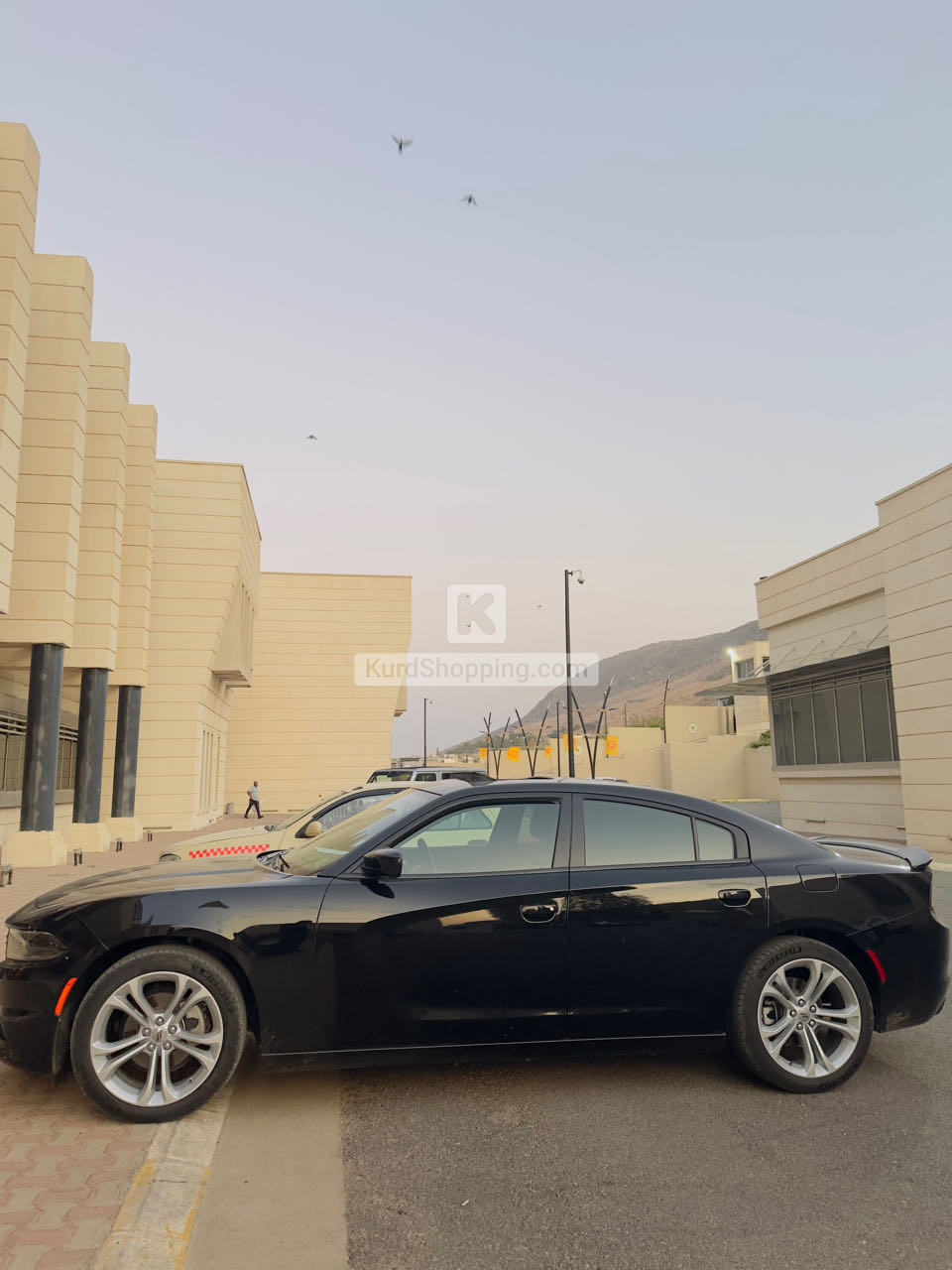 Dodge Charger 2022