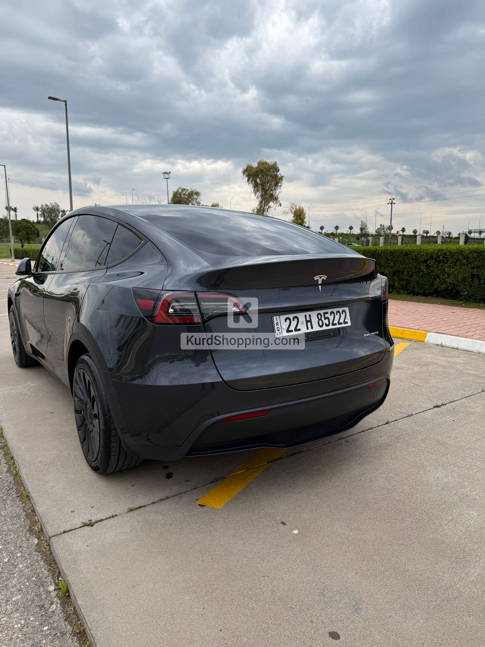 Tesla Model Y 2024