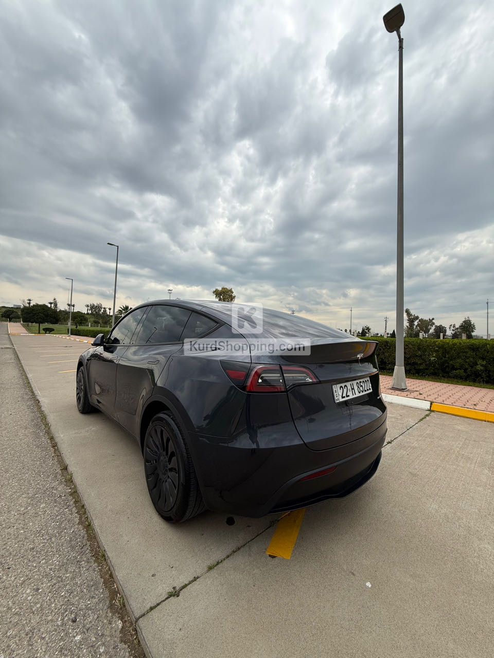 Tesla Model Y 2024