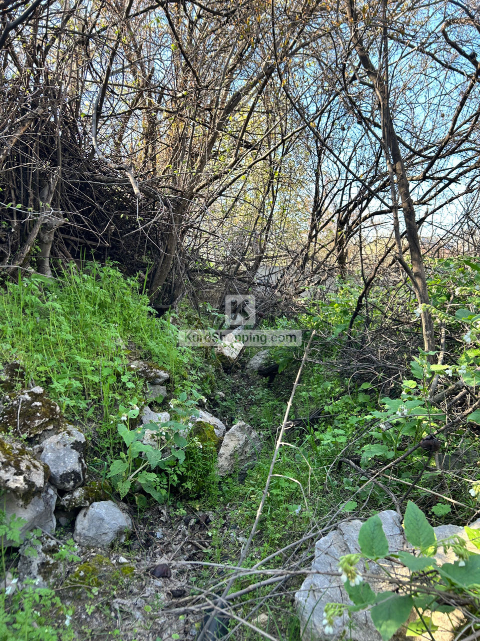 باخ لە ناحیەی هیران