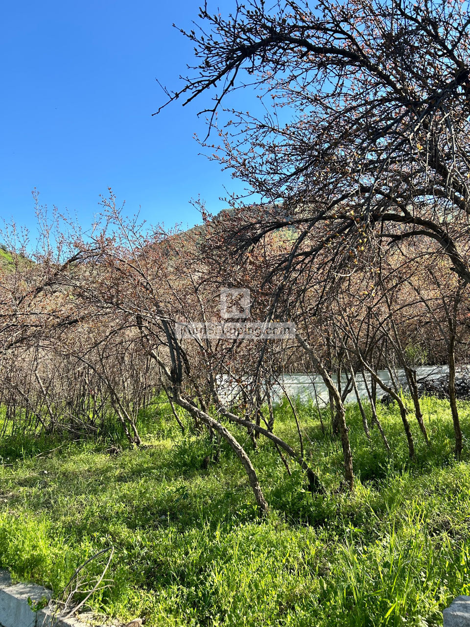 باخ لە ناحیەی هیران
