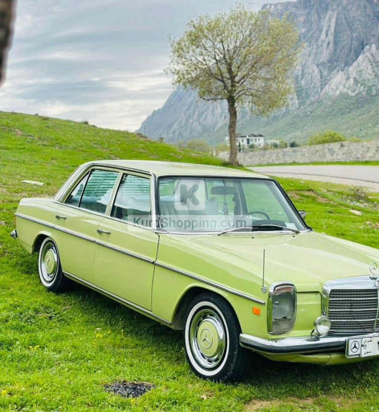 Mercedes Benz E-Class 1975