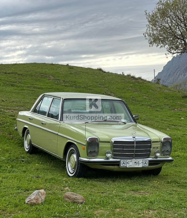 Mercedes Benz E-Class 1975