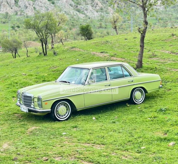 Mercedes Benz E-Class 1975