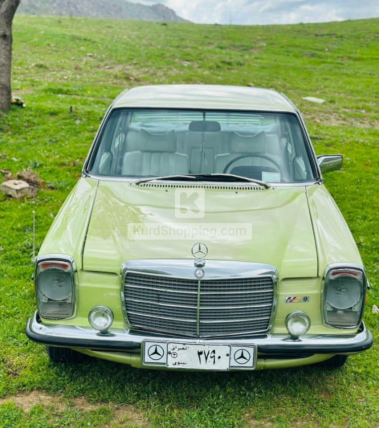 Mercedes Benz E-Class 1975