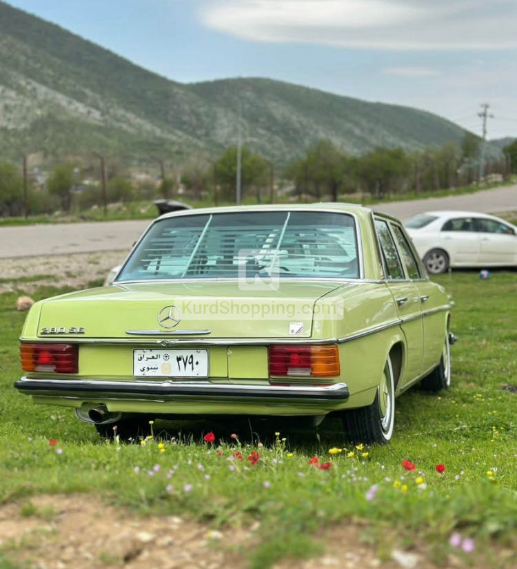 Mercedes Benz E-Class 1975
