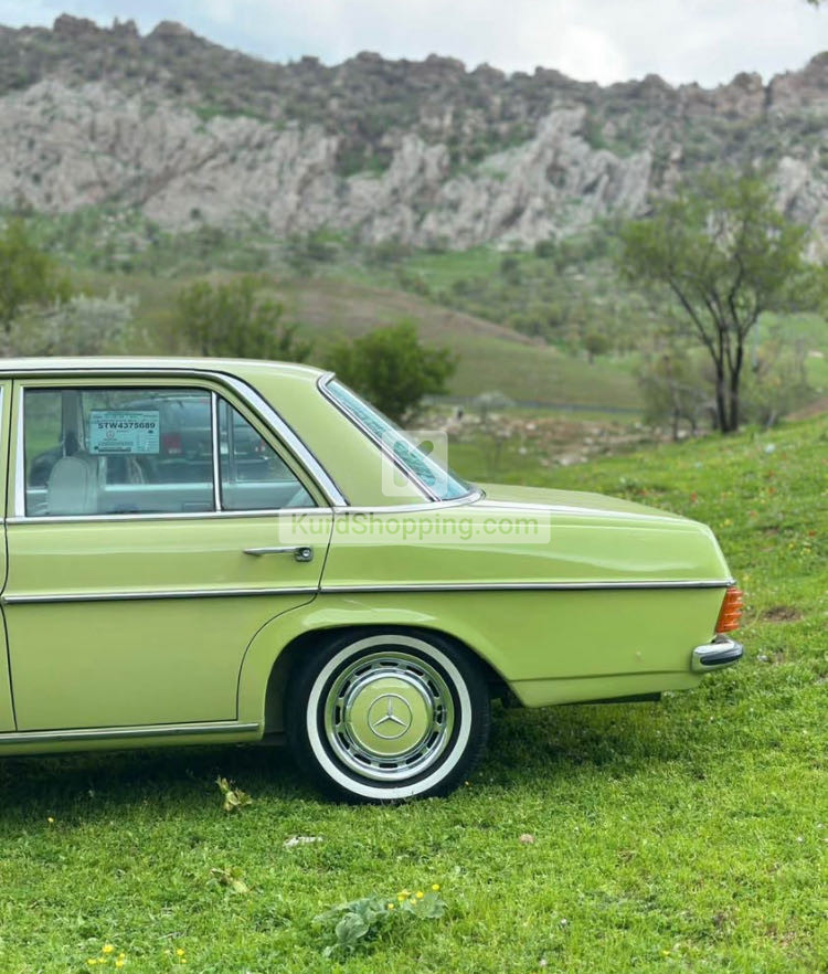 Mercedes Benz E-Class 1975