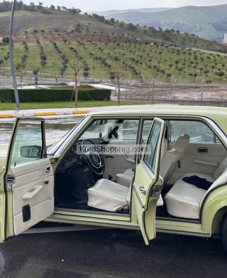 Mercedes Benz E-Class 1975